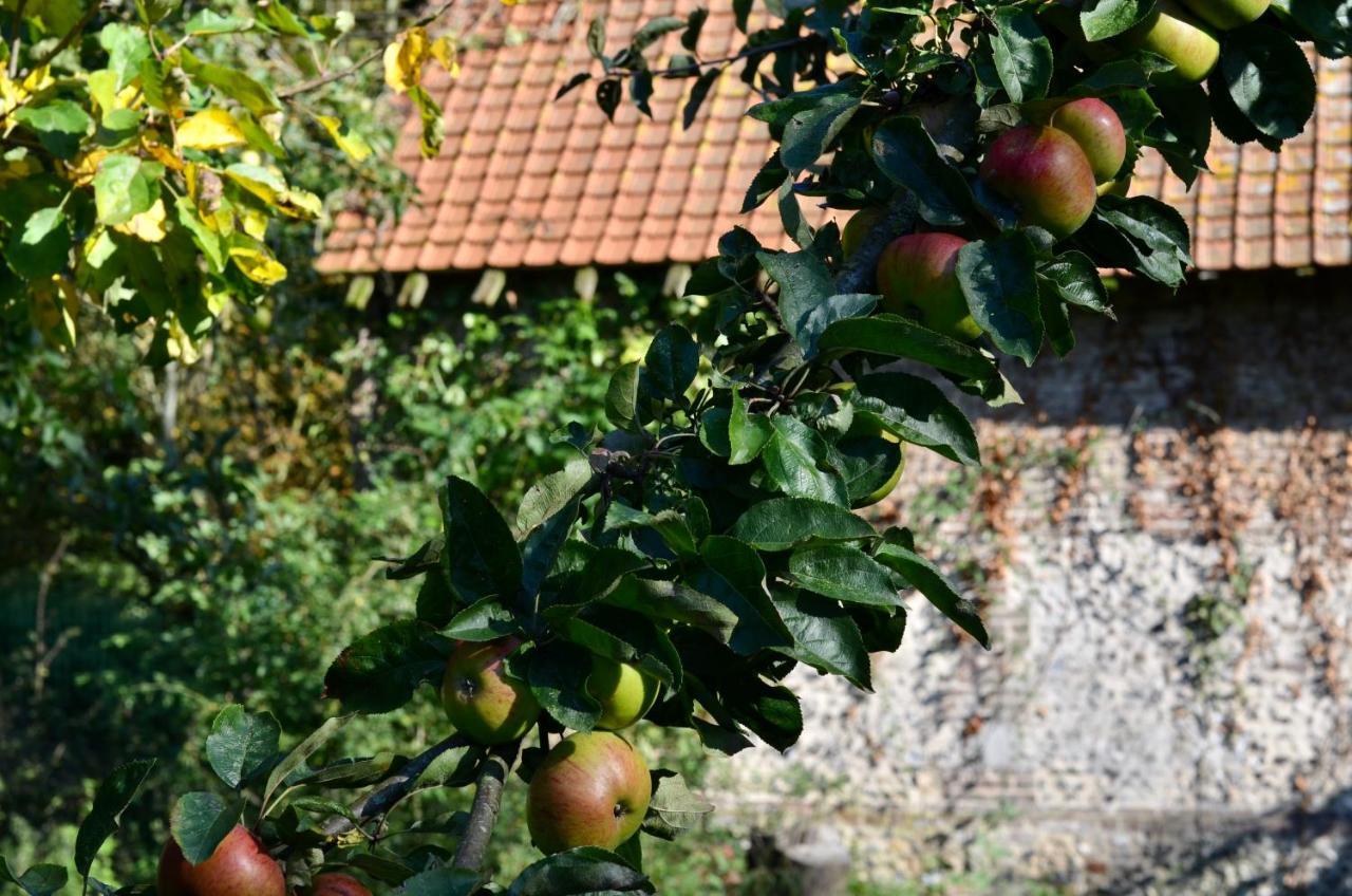 B&B La Tour Blanche Forest-Montiers Εξωτερικό φωτογραφία